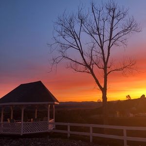 Meet your Posher, Troy